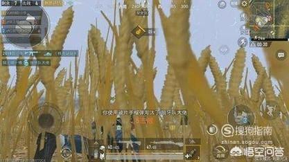 你们用手机怎么玩吃鸡的