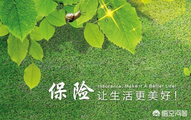 中国人寿分红险靠谱吗，中国人寿分红险好吗