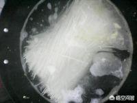 西红柿鸡蛋卷怎么搭配吃(图8)