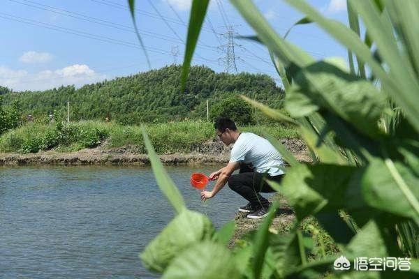 水产养殖水质检测项目有哪些 水产养殖一般水质测那几个参数？