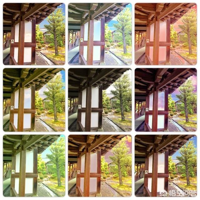如何把照片做成动画？everfilter