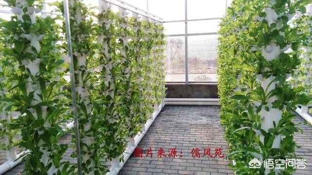 无土蔬菜种植公司，无土蔬菜种植公司名称