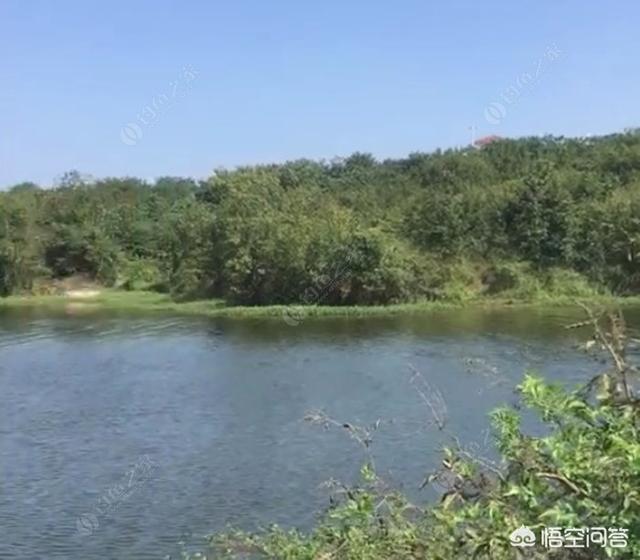 长春市农安县纸飞机账号购买渠道