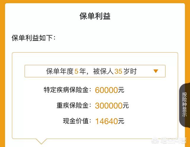 中国人寿保险康宁终身保险，中国人寿保险康宁终身保险怎么理赔