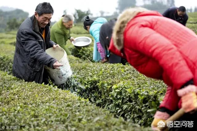 园林花卉有哪些品种 施肥最好-园林花卉有哪些品种 施肥最好呢