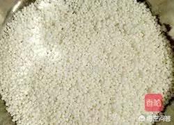 西米粽子-西米粽子的做法和包法的正确煮法