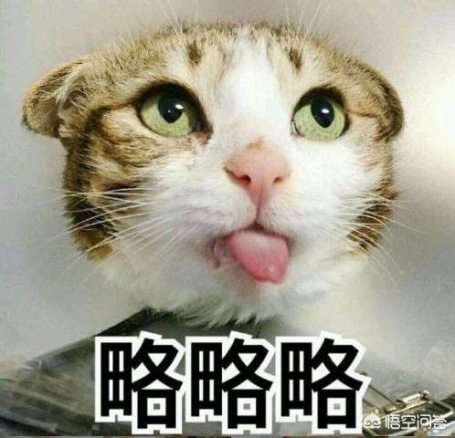 谁有快猫可以发一下吗-