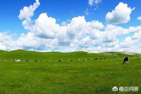 旅游景点推荐自驾游地区 多少钱一个月 学生可以玩,自驾游一个月费用