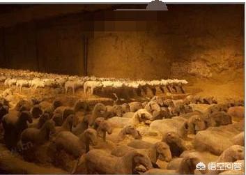 西安市北郊有什么玩的地方