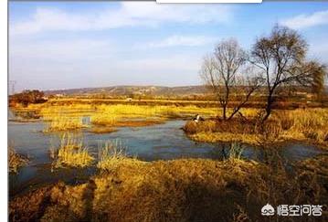 西安市北郊有什么玩的地方