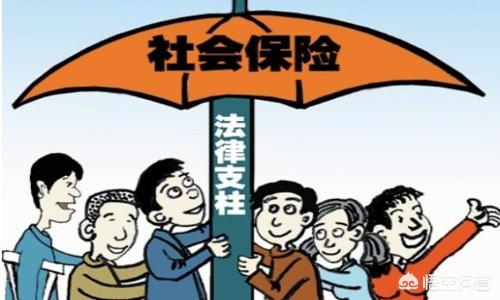 个人社会保险暂停服务，个人社会保险暂停服务什么意思