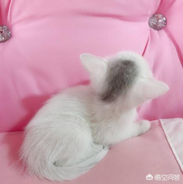男人一旦爱上一个女人(图1)