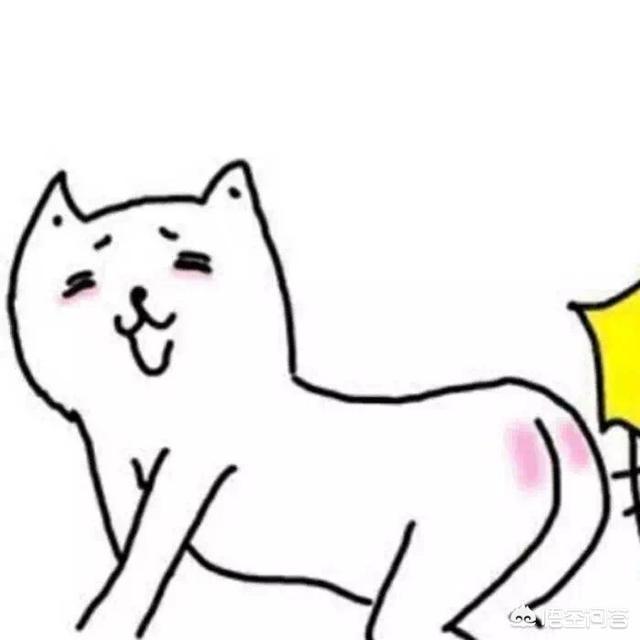 女人为什么说要给她好处(图2)
