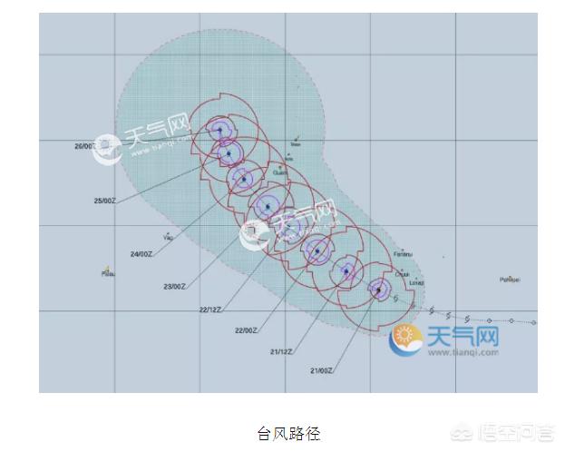 16号台风蒲公英生成(为什么叫蒲公英台风？)