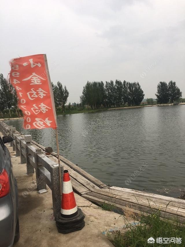 长春市农安县纸飞机账号购买渠道