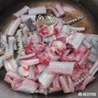 广东蛇鸡煲做法（蛇肉炖鸡的做法？）