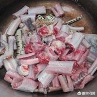 鸡蛇汤怎么做？鸡蛇怎样吃好吃？