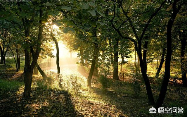 有声小说下载mp3_有声小说下载网址