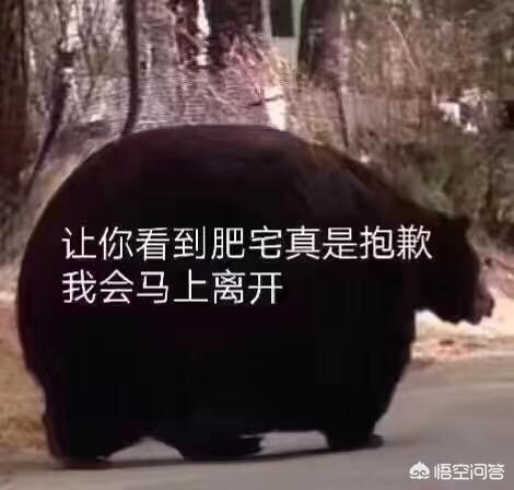 为什么我的战舰世界里没有胡德