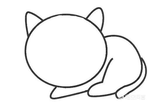 猫怎么画简单又可爱(图4)
