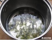 馄饨做法-馄饨做法家常包法视频