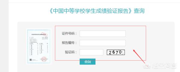 2023查中考成绩怎么查询_中考查询成绩时间2021_中考查询成绩2020