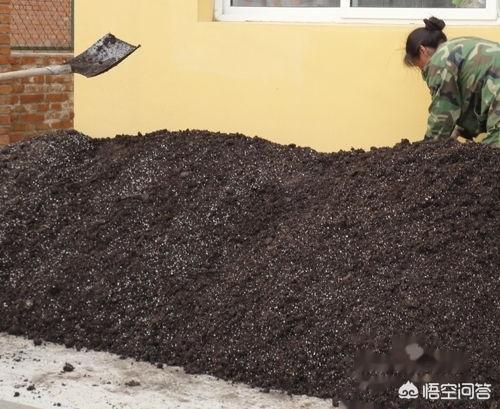 苗木养护有哪些 草类,苗木养护有哪些 草类植物