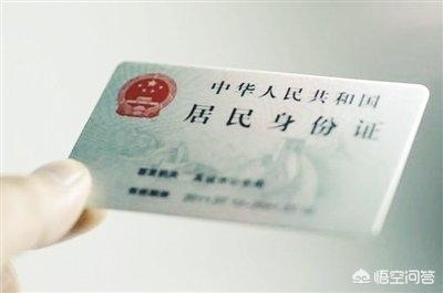 幫幫國際寵物托運公司?幫幫國際寵物托運公司官網!
