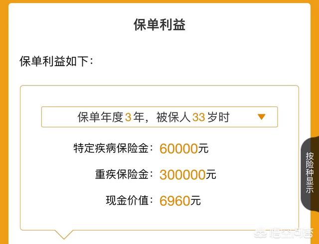 中国人寿保险康宁终身保险，中国人寿保险康宁终身保险怎么理赔