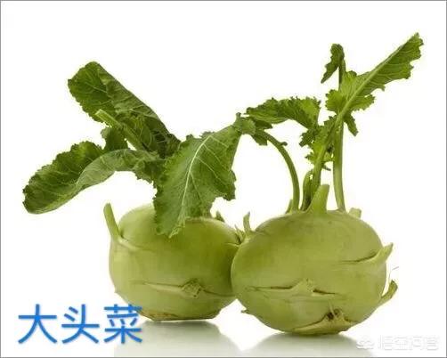 蔬菜花-蔬菜花束图片大全