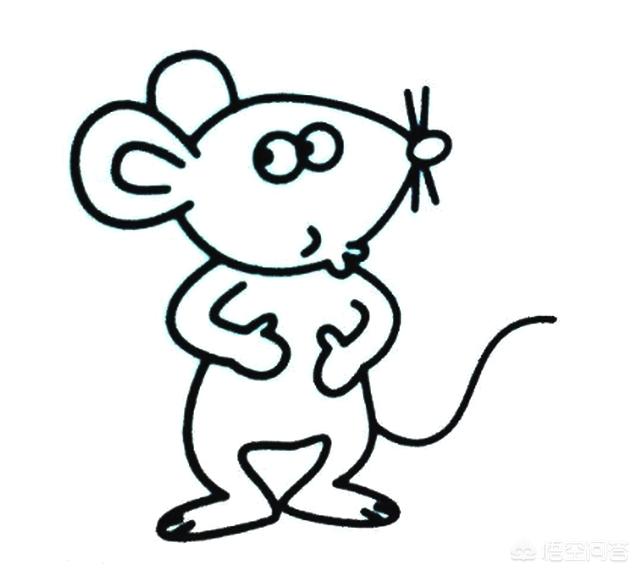 吃桃子的老鼠怎么画图片(图11)