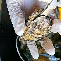 美食节菜单海报 佐料怎么做,美食节菜单海报 佐料怎么做的