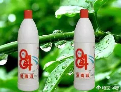 球鞋边缘，清洗，运动鞋边缘磨黑怎么清洗,第5张