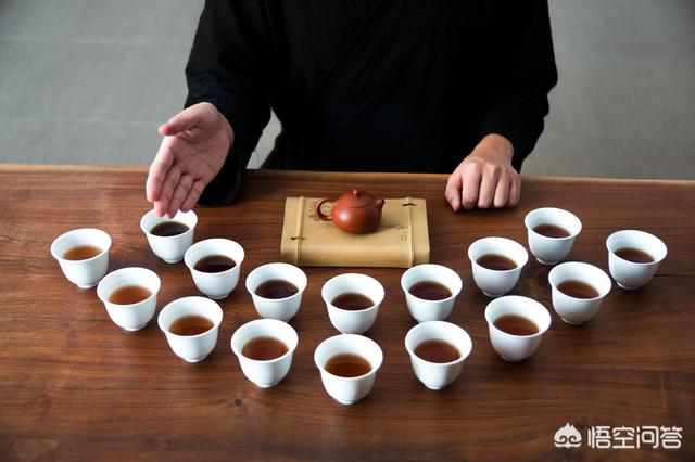 茶如何养生(茶的养生知识)