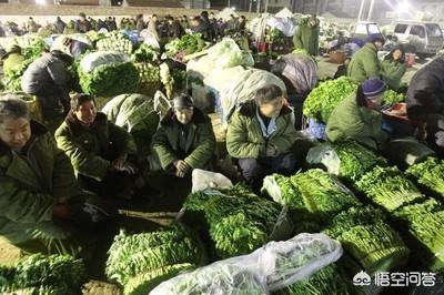 寻求土地合作协议范本 想用自己的土地做果园，如何寻找合作商？