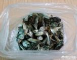 猫咪吃的小鱼干怎么弄碎