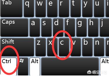 如何复制粘贴（复制粘贴要怎么弄？）