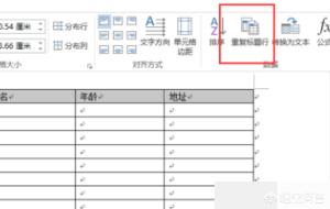 word表格跨页（word中表格跨页？）