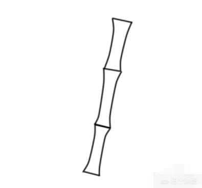 竹子简笔画怎么画竹子？