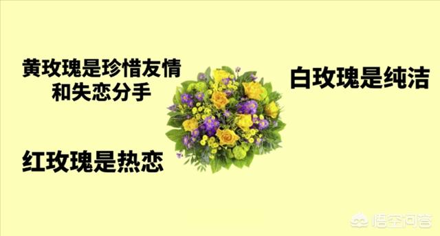 情人节玫瑰花照片大图（情人节玫瑰花图片大全999朵）