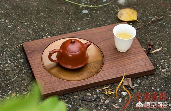 采茶树有什么功效(图4)
