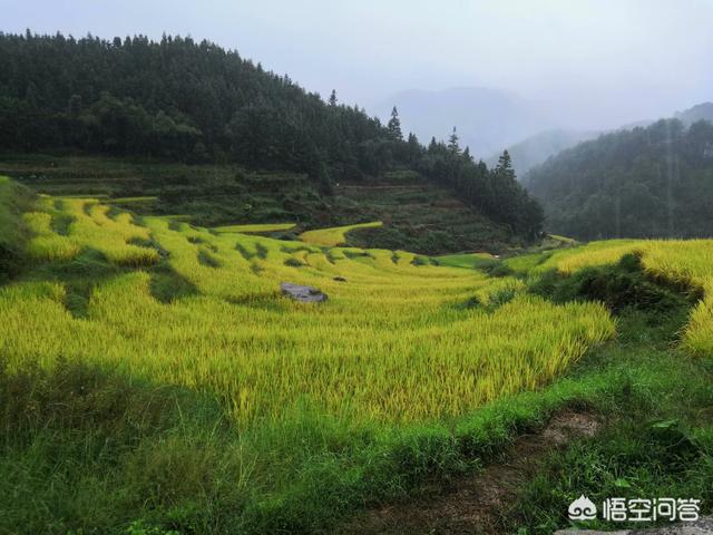 珠海观光路线自驾游，珠海观光路线自驾游攻略