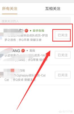 王者荣耀找朋友功能关闭 王者荣耀找朋友功能关闭怎么加好友-第8张图片-随然AIR主题