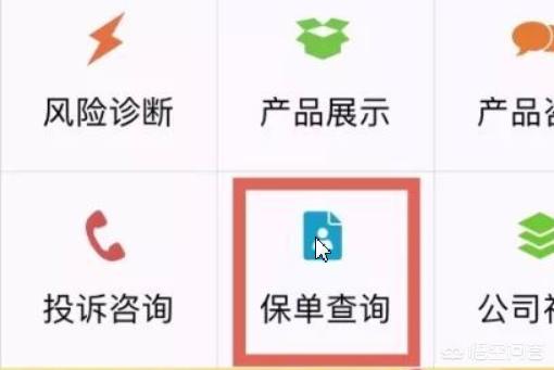 太平洋寿险app下载，太平洋寿险app下载我的保单