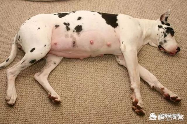 怎么能100 避免怀孕（怎么做才能避免怀孕）