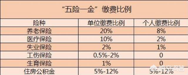 五险有没有必要交，辞职不干了五险怎么办