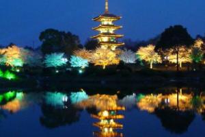 武汉必去景点夜景图片(图10)