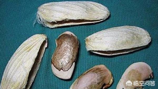 小孩吃剩的水果怎么处理(图2)