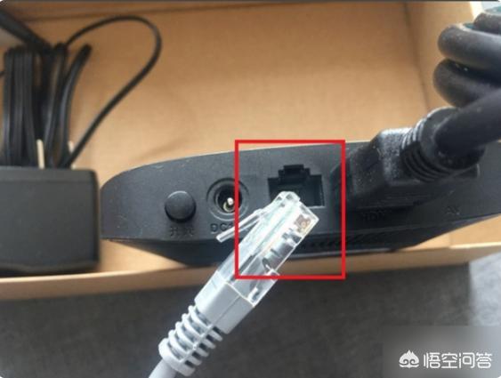 cc猫（ccfc名猫协会？）