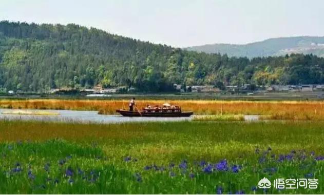 云南保山市高黎贡山旅游度假区1日游民宿价格一览表,保山高黎贡山旅游攻略